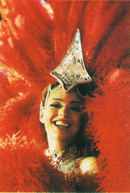 Seine cruise + Moulin Rouge show tour