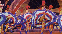 Seine Cruise and Moulin Rouge show