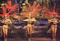 Dinner at the Eiffel tower, cruise and Moulin Rouge show