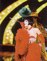 Illuminations of Paris and Lido new show